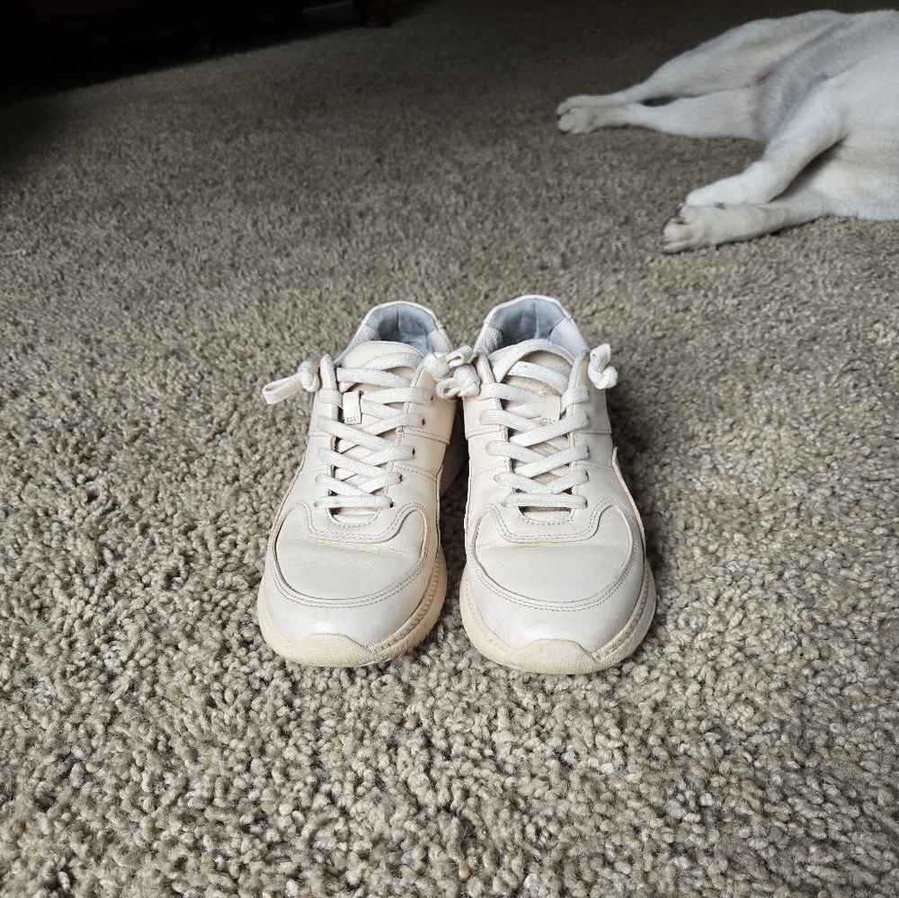 Everlane women's leather sneakers - Picture 4 of 8